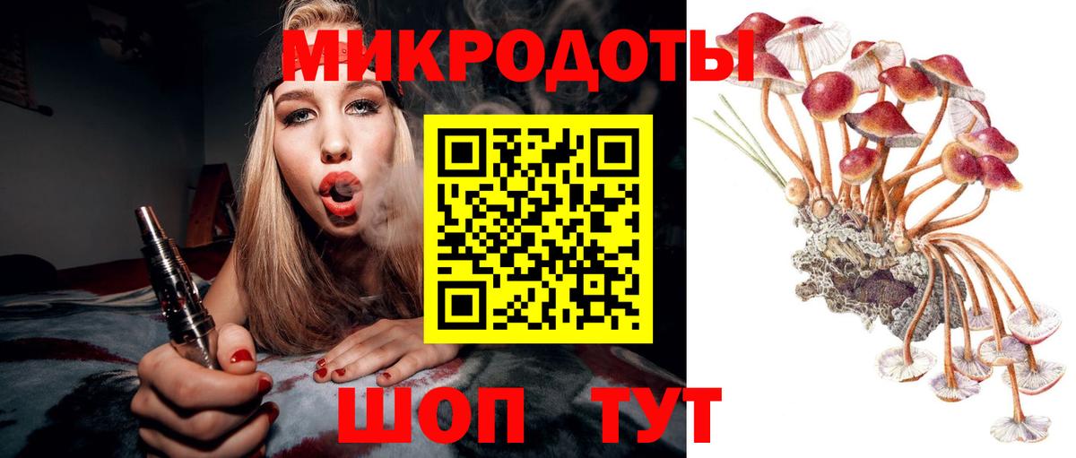 Галлюциногенные грибы Psilocybe Нижнеудинск
